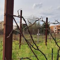 Putrelle e tubi in ferro 