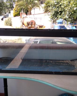 Acquario