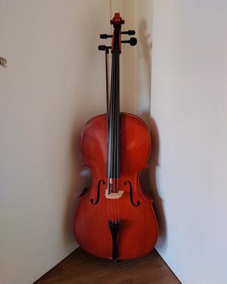VIOLONCELLO STUDIO 