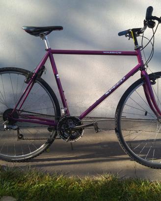 City bike Speed