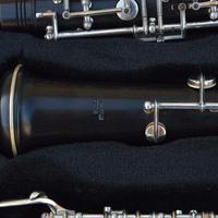 Oboe e custodia