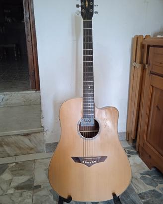 chitarra acustica VGA
