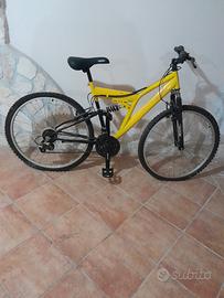 Bicicletta 
