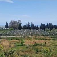 Terreno con rustico e serre a Mascali