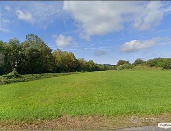 Vendita Terreno Agricolo