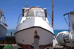 Pilotina linea d'asse