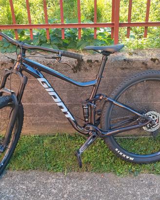 bicicletta GIANT
