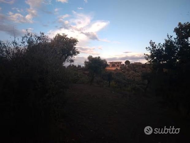 Terreno agricolo - Vista 5
