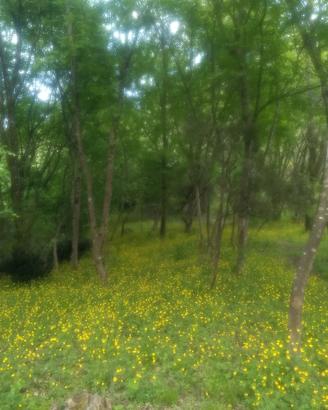 Location fotografico set