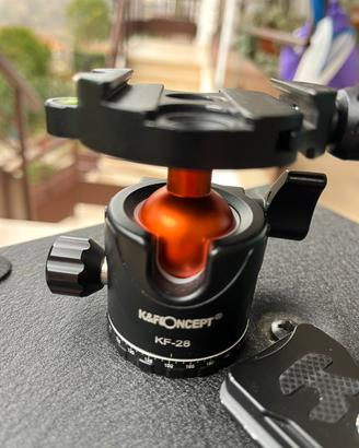 Testa Kef 28 per cavalletto