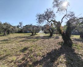 TER. RESIDENZIALE A PESCARA