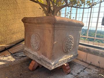 vaso terracotta e alberello di bosso