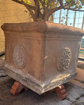 vaso terracotta e alberello di bosso
