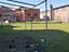 Immagine 12