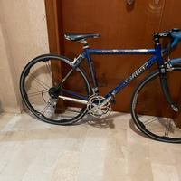 Bici da corsa Triestina Wilier