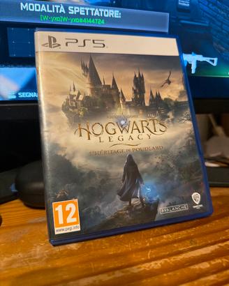 Hogwarts Legacy Ps5
