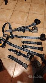 cinture panda sisley 4x4