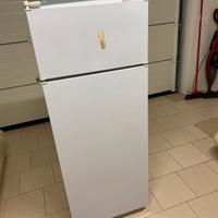 Frigorifero e congelatore  Indesit IN-D 240/B G