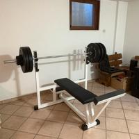 Panca piana technogym
