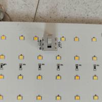 Led coltivazione quantum Board