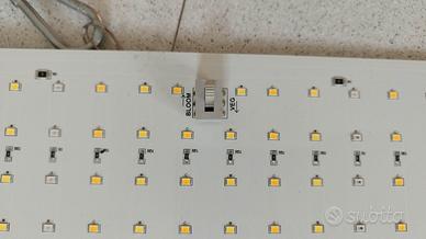 Led coltivazione quantum Board
