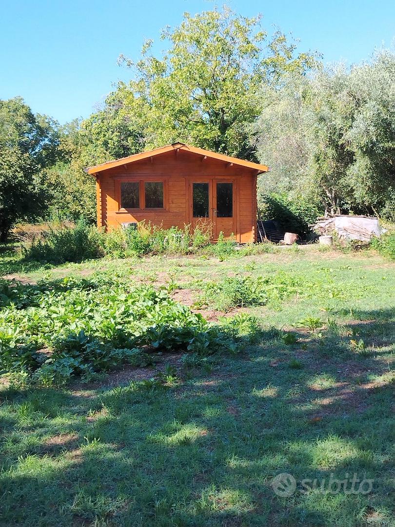 San Potito Ultra. Noccioleto specializzato - Altro