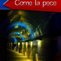 Come la pece - racconti di Simone Piazzesi