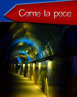 Come la pece - racconti di Simone Piazzesi
