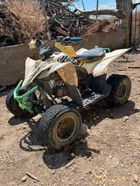 Quad 125 lem