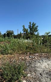 Terreno agricolo a Caserta Via Cancello