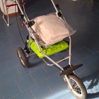 carrozzina trekking 