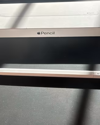 APPLE PENCIL USBC