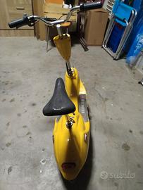 Monopattino elettrico 