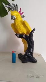 Pappagallo ceramica ridipinto 