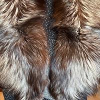 Collo sciallato volpe argentata