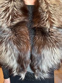 Collo sciallato volpe argentata