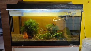 Acquario Tetra 54 l 