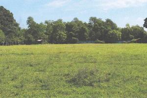 Terreno di 3221 m² a Crema