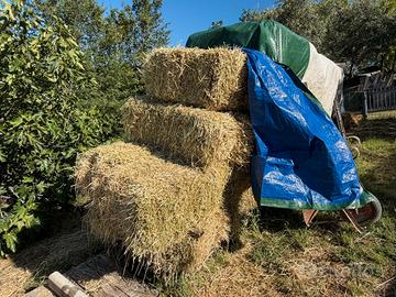 ballette fieno  o di erba medica 