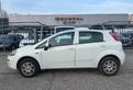 FIAT Punto 1.4 8V 5 porte Natural Power Lounge