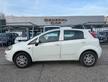 FIAT Punto 1.4 8V 5 porte Natural Power Lounge