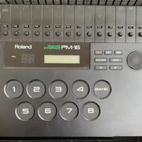 Centralina Roland Pm16