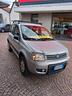 fiat-panda-1-2-4x4