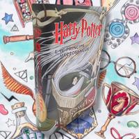 Libro 6 Harry Potter e il principe mezzosangue