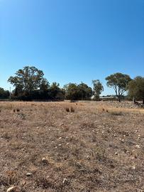 Terreno a mare con Progetto Approvato abitazione