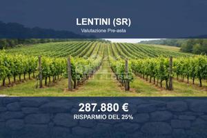 Immobile in asta di 103739 m² a Lentini