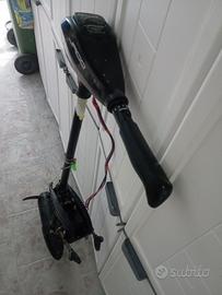 Fuoribordo elettrico