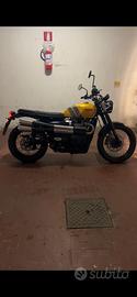 triumph scrambler  900