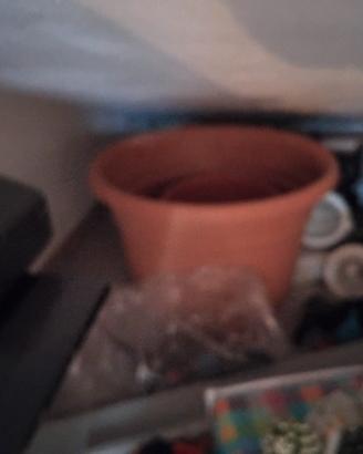 vaso da giardino 