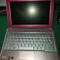 Portatile SONY VAIO PCG 21313 M